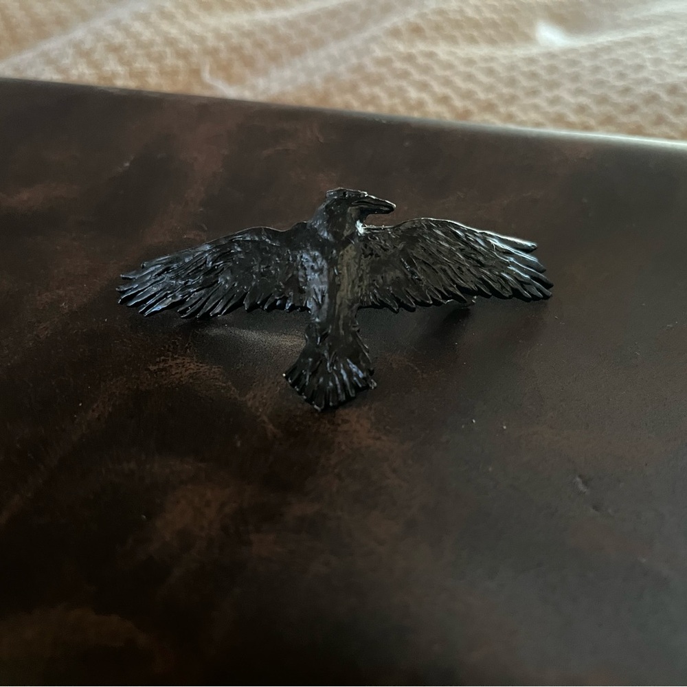 Raven Hair Clip/Baret